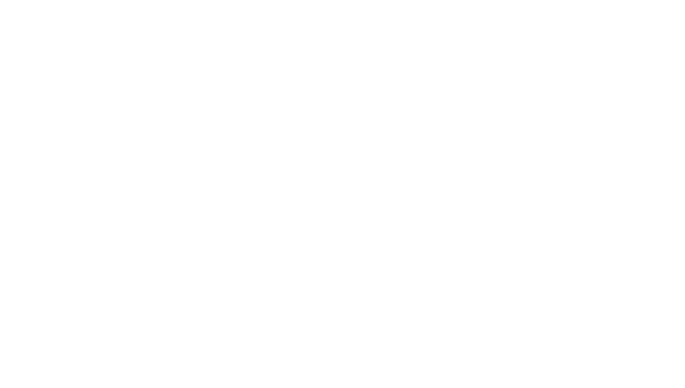 BCC & Partners